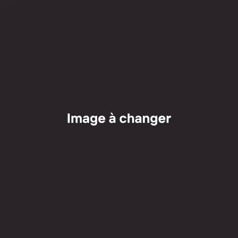 Image_changer